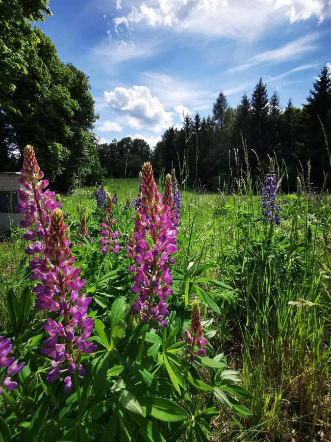 Cyklocamp Pod Landstejnem Hotel Stare Mesto  Buitenkant foto