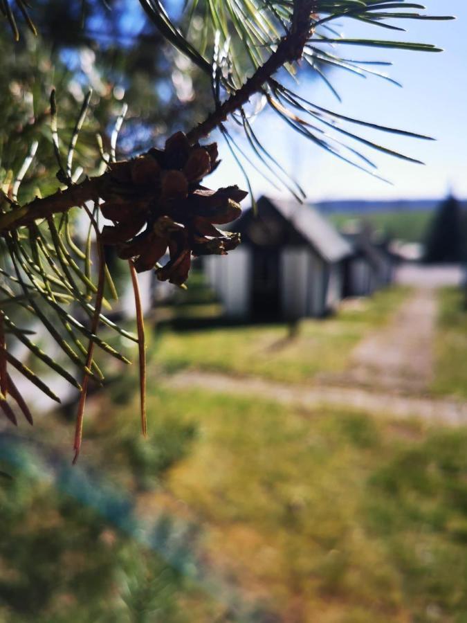 Cyklocamp Pod Landstejnem Hotel Stare Mesto  Buitenkant foto